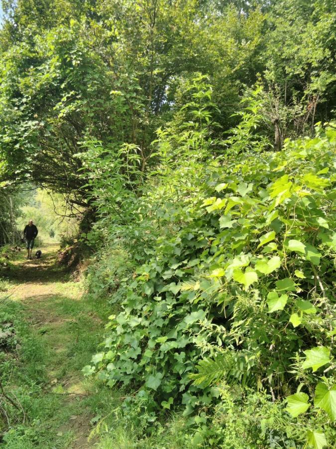 Grande Tente Tipi En Pleine Foret Campismo de Luxo Burzet