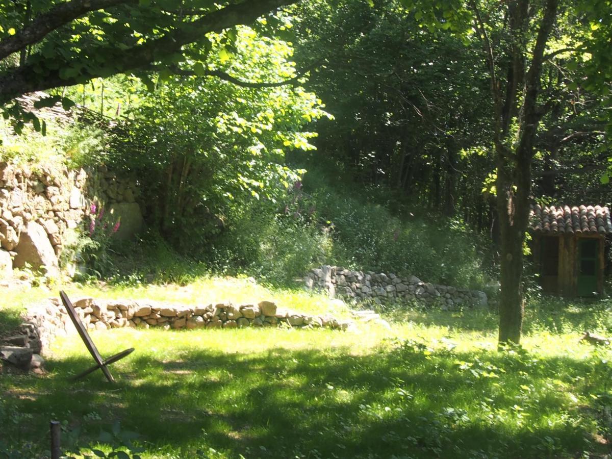 Grande Tente Tipi En Pleine Foret Burzet